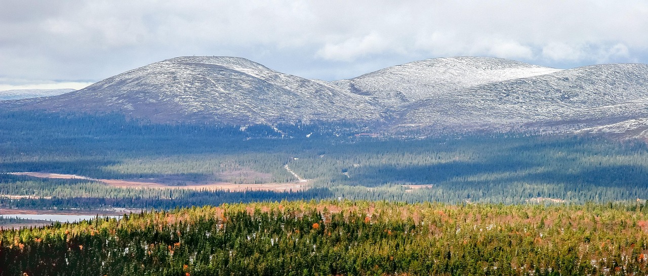 청주 임플란트 저렴