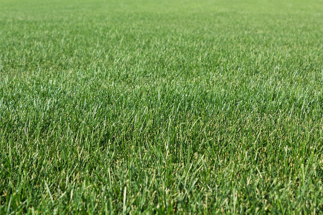 임플란트 임시치아 만들기