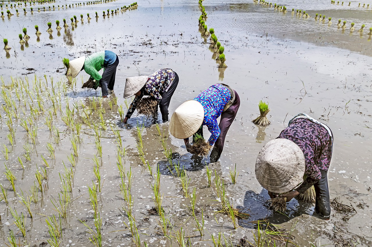 20대 임플란트 3개